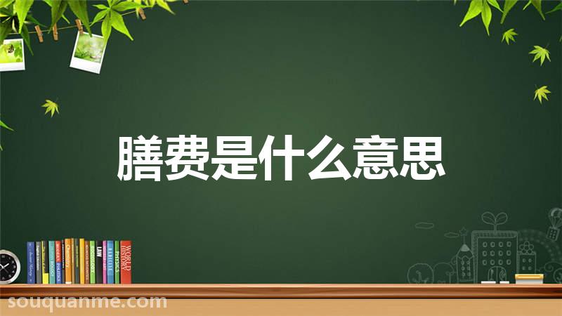 膳费是什么意思 膳费的读音拼音 膳费的词语解释